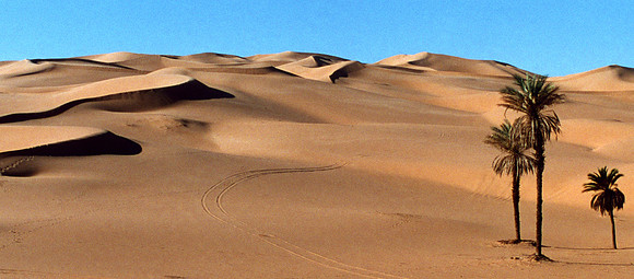 Tracks into Time