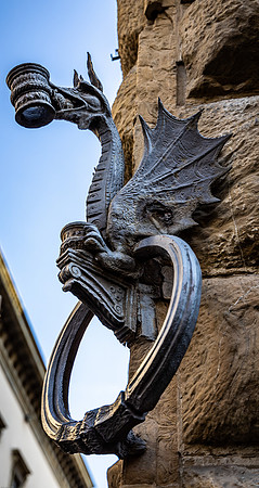 20190220-8C0A0596