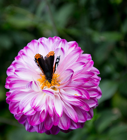 20150913-_MG_6859.jpg