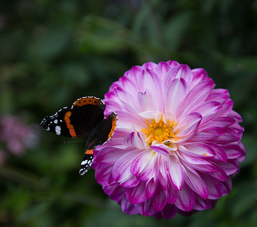 20150913-_MG_6861.jpg