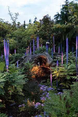 20160723-174.jpg