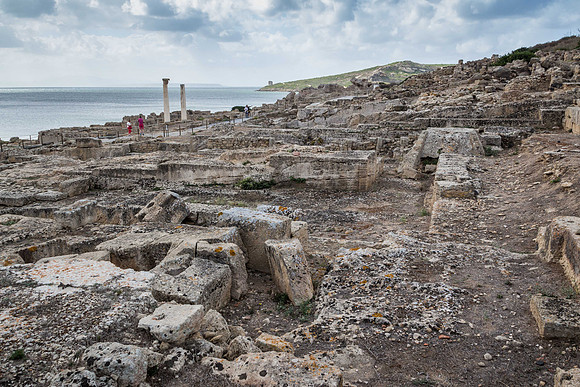 Sardo 0915-146.jpg