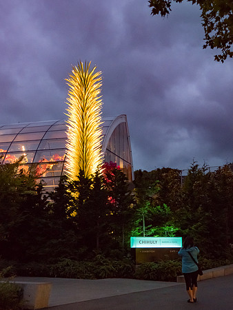 20160723-182.jpg