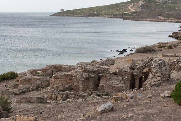 Sardo 0915-142.jpg
