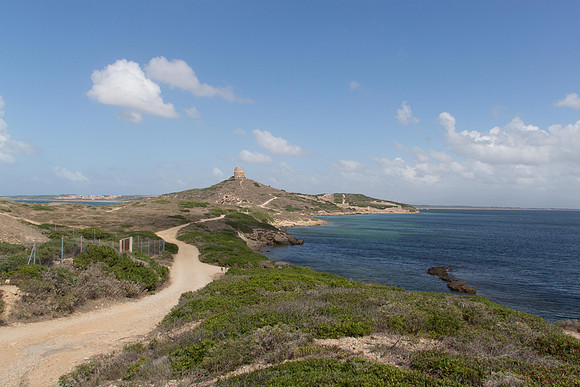 Sardo 0915-160.jpg