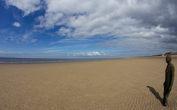 _MG_5204.jpg