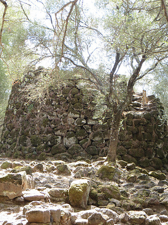 Sardo 0915-230.jpg