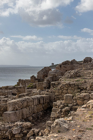 Sardo 0915-126.jpg