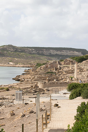Sardo 0915-143.jpg