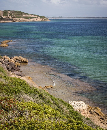 Sardo 0915-159.jpg