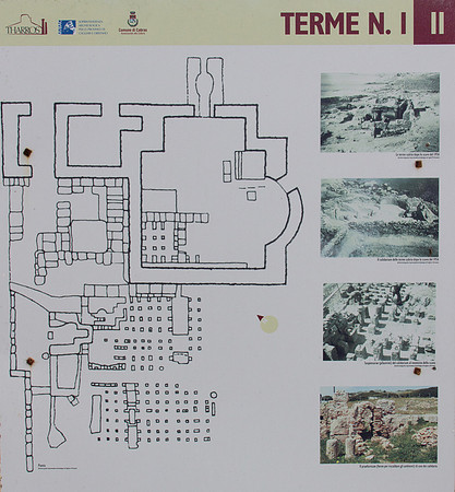 Sardo 0915-135.jpg