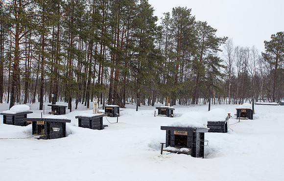 Norway 0317-197.jpg