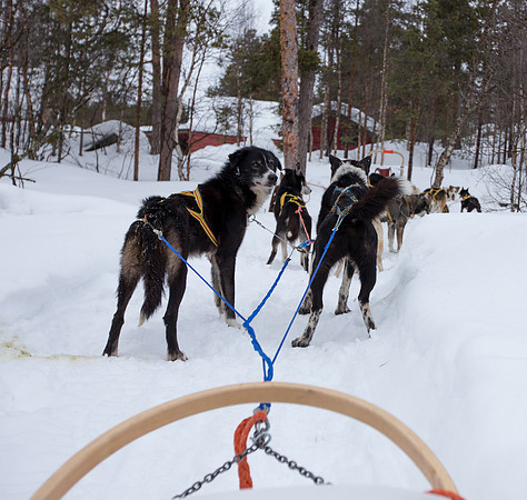 Norway 0317-198.jpg