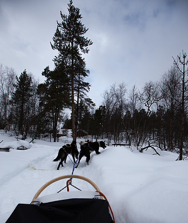 Norway 0317-199.jpg
