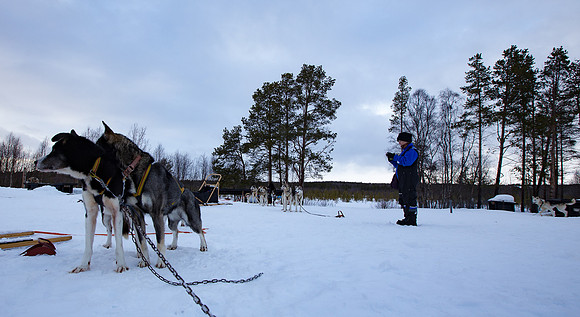 Norway 0317-208.jpg