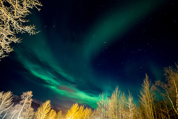 Norway 0317-228.jpg