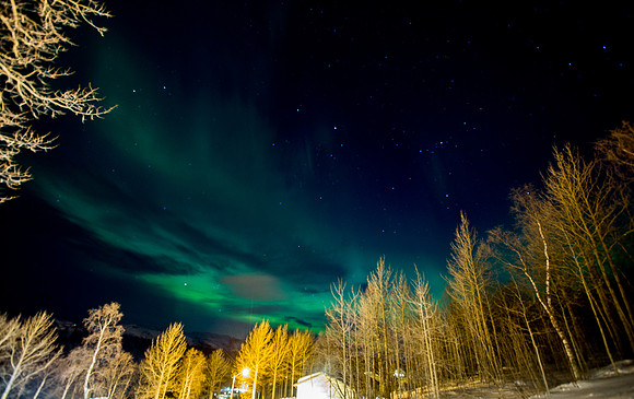 Norway 0317-229.jpg