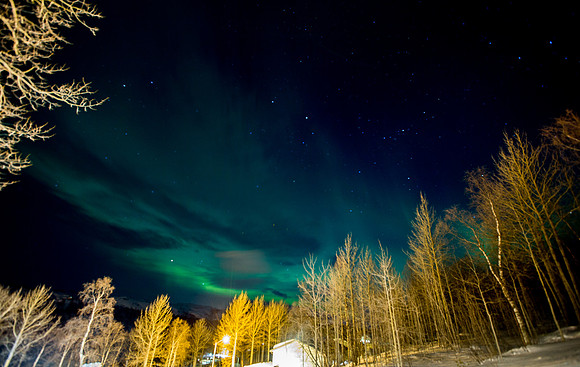 Norway 0317-230.jpg