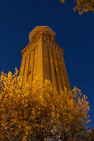 20190815-8C0A0679